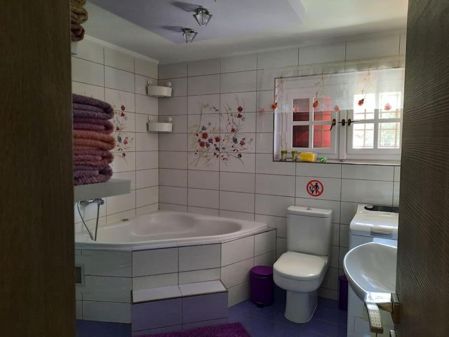 Casa Olena Holiday home *