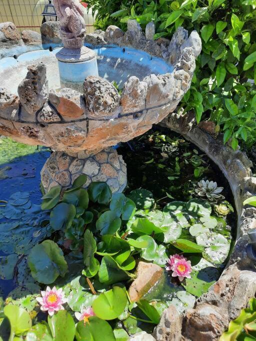 Casa Olena *